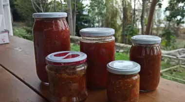 Deydaa Ekoloji Kampı