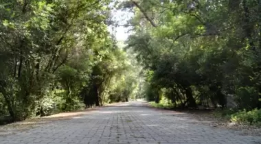 Çubucak Orman Kampı