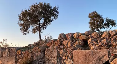 Syedra
