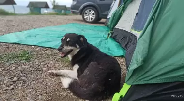 Karacakaya Kamp Alanı