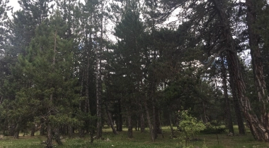 Aluçdağı Tabiat Parkı