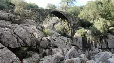 Tazı Kanyonu Kamp Alanı