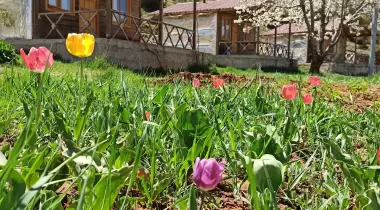 Eylül Bungalow