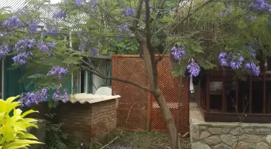 Tardus Bungalov