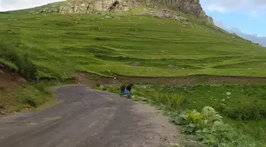 Gezginler Kamp Alanı