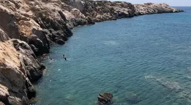 AKVARYUM KOYU