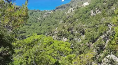 Kabak Lost Forest Camping