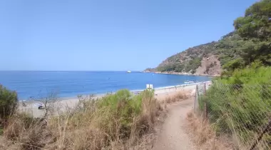 Kabak Lost Forest Camping