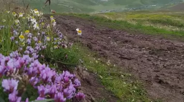 Gezginler Kamp Alanı