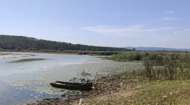 Ormalı Kamp Alanı