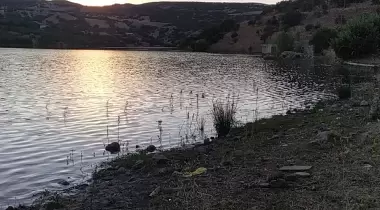Bağın kamp alanı