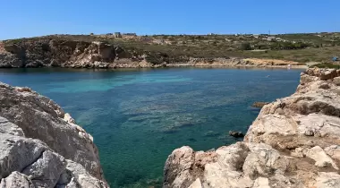 AKVARYUM KOYU