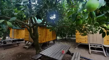 Adrasan pusula camping