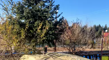 Seviller Yaylası