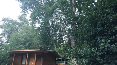 Papaya Camping
