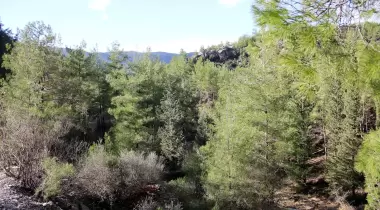 Tazı Kanyonu Kamp Alanı