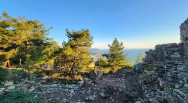 Syedra