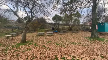 Sahil Camping Palanın Yeri