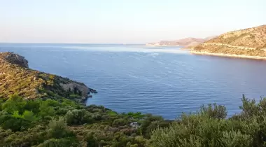Tardus Bungalov