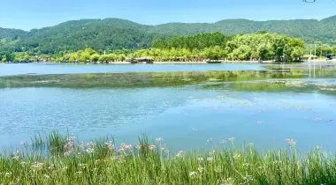 Elmas Camping Elmas Aile Çay Bahçesi ve Kamp Alanı