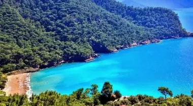 Kabak Lost Forest Camping
