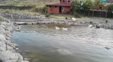 Lalezar Camping
