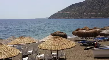 Tardus Bungalov