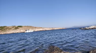 AKVARYUM KOYU