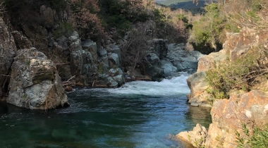 Kazdağı Kamp