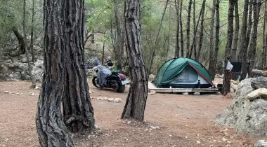 Kabak Lost Forest Camping