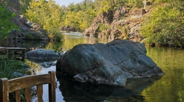 Kazdağı Kamp