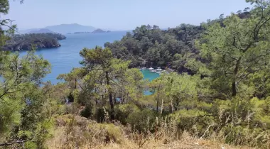 Katrancı Orman Kampı