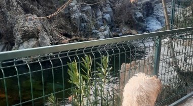 Kazdağı Kamp