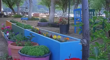 Ali Baba Kamp ve Piknik Alanı