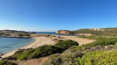 AKVARYUM KOYU