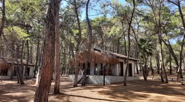 Kovanlık Tabiat Parkı