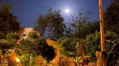 Bodrum Wanderheaven Kamp Alanı, Bungalov ve Tiny House