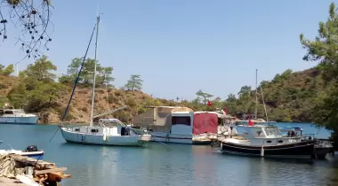 Balık Aşıran Koyu