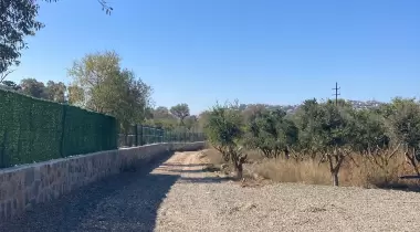 Forsa Camping
