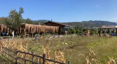 Şamata Kamp ve Restoran Assos