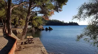 Katrancı Orman Kampı