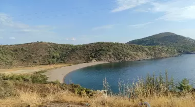 Turgut Bükü