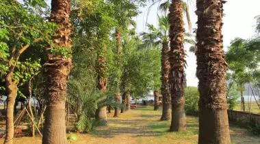 Eden Bungalows and Beach