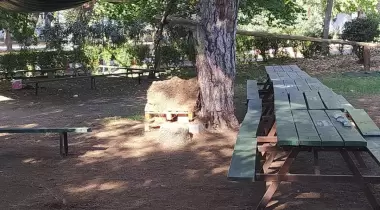 Talat Göktepe (Erdemli Çamlığı) Tabiat Parkı