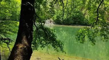 Burdur Kargı Köyü Sığla Ormanı Tabiatı Koruma Alanı