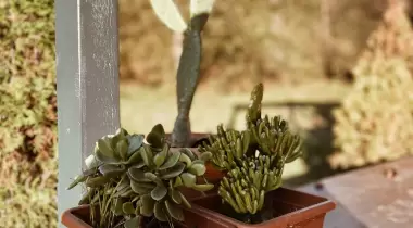 Moçkar Tiny House