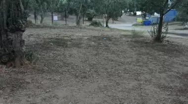 Turan Piknik Alanı Camping
