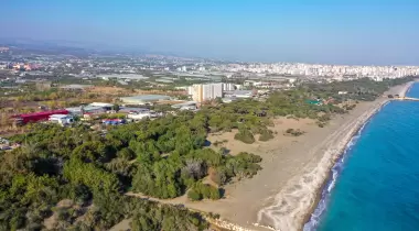 Talat Göktepe (Erdemli Çamlığı) Tabiat Parkı