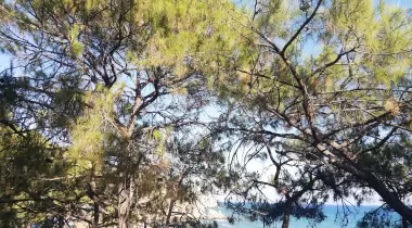 Pullu Tabiat Parkı