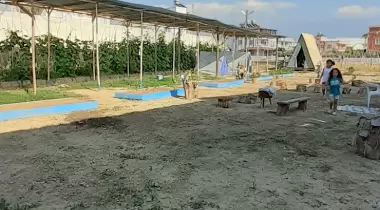Arsuz Yeşil Kamp